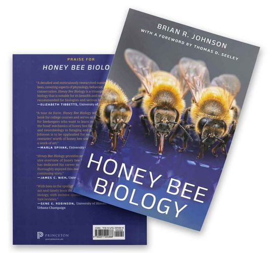 Honey bee biology