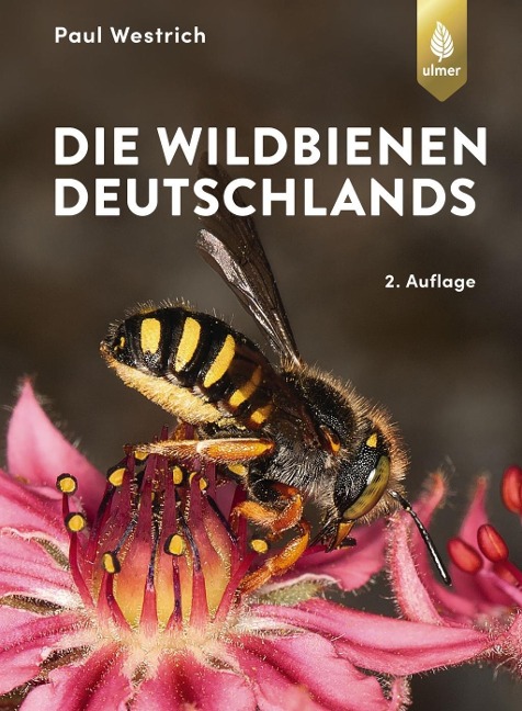 Wildbienen deutschlands