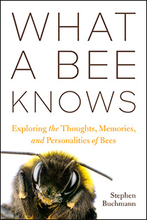 what bee knows