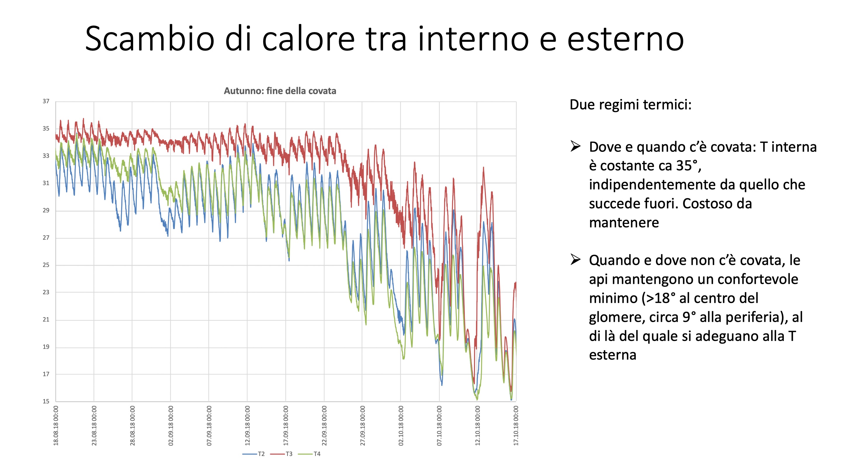 Diapositiva13