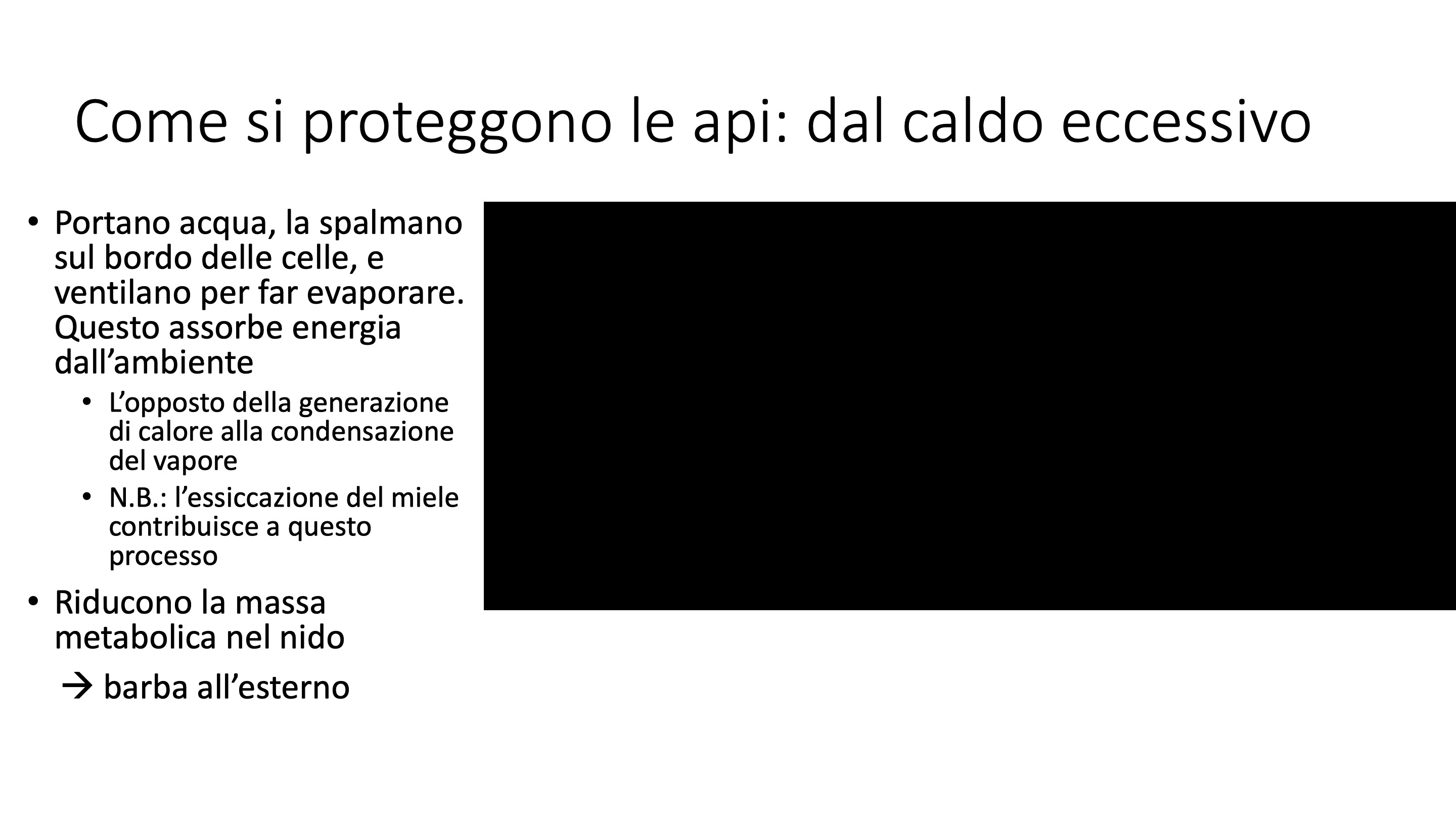 Diapositiva15