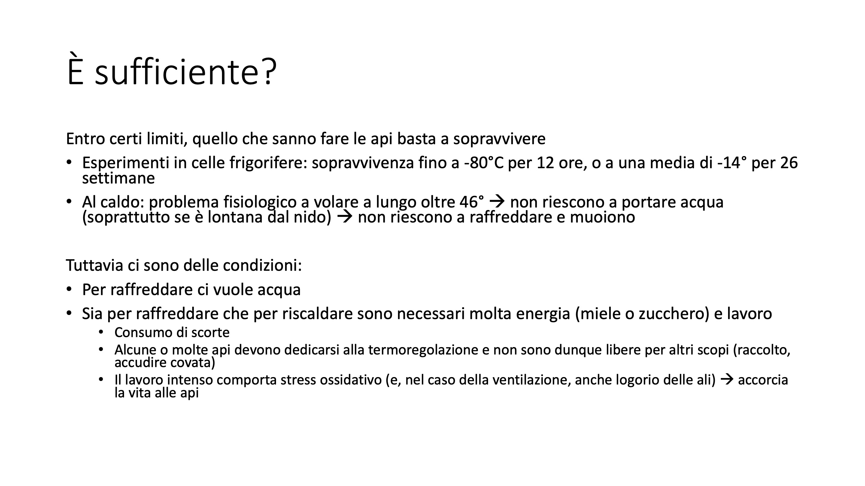 Diapositiva16