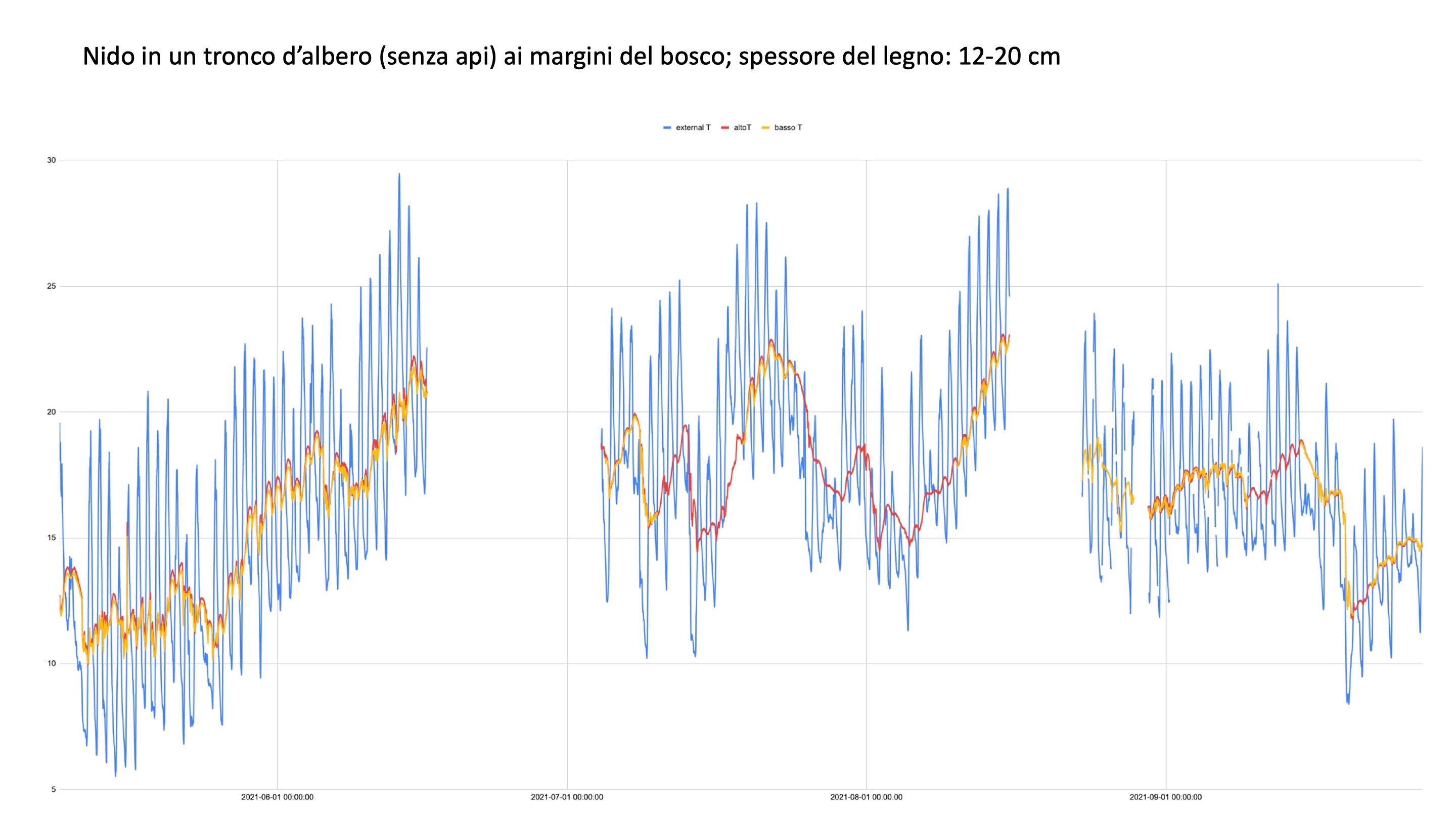 Diapositiva19