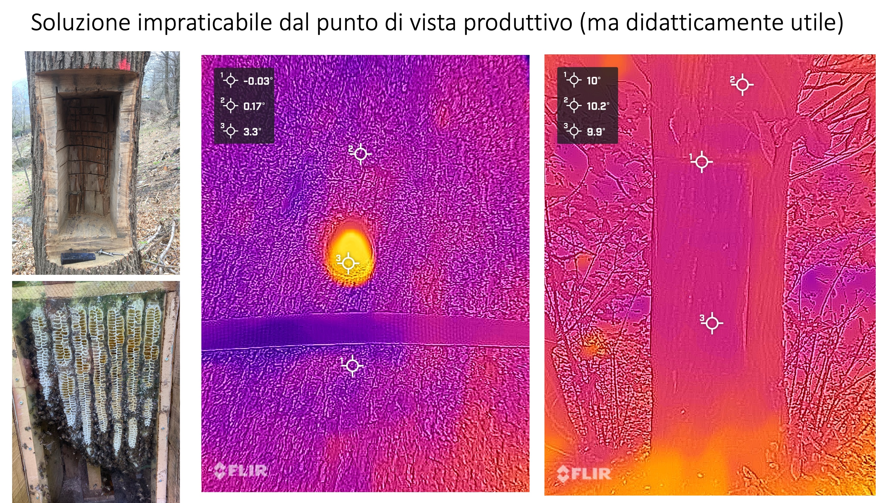 Diapositiva31