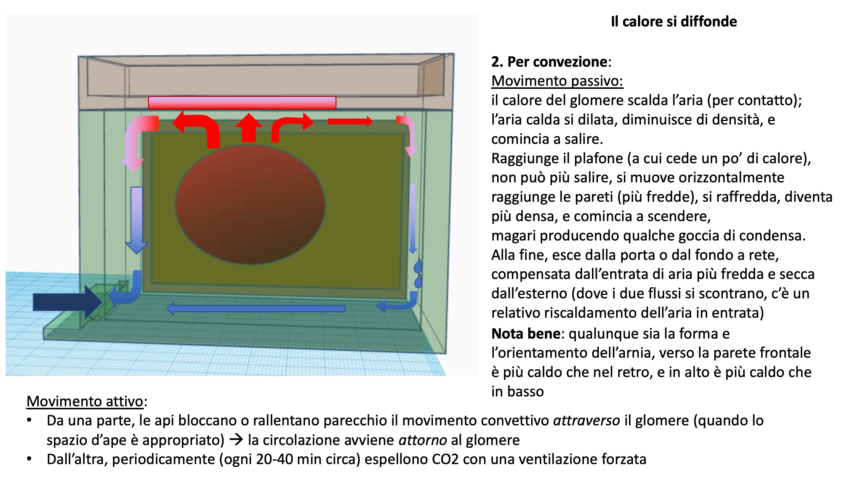 Diapositiva5