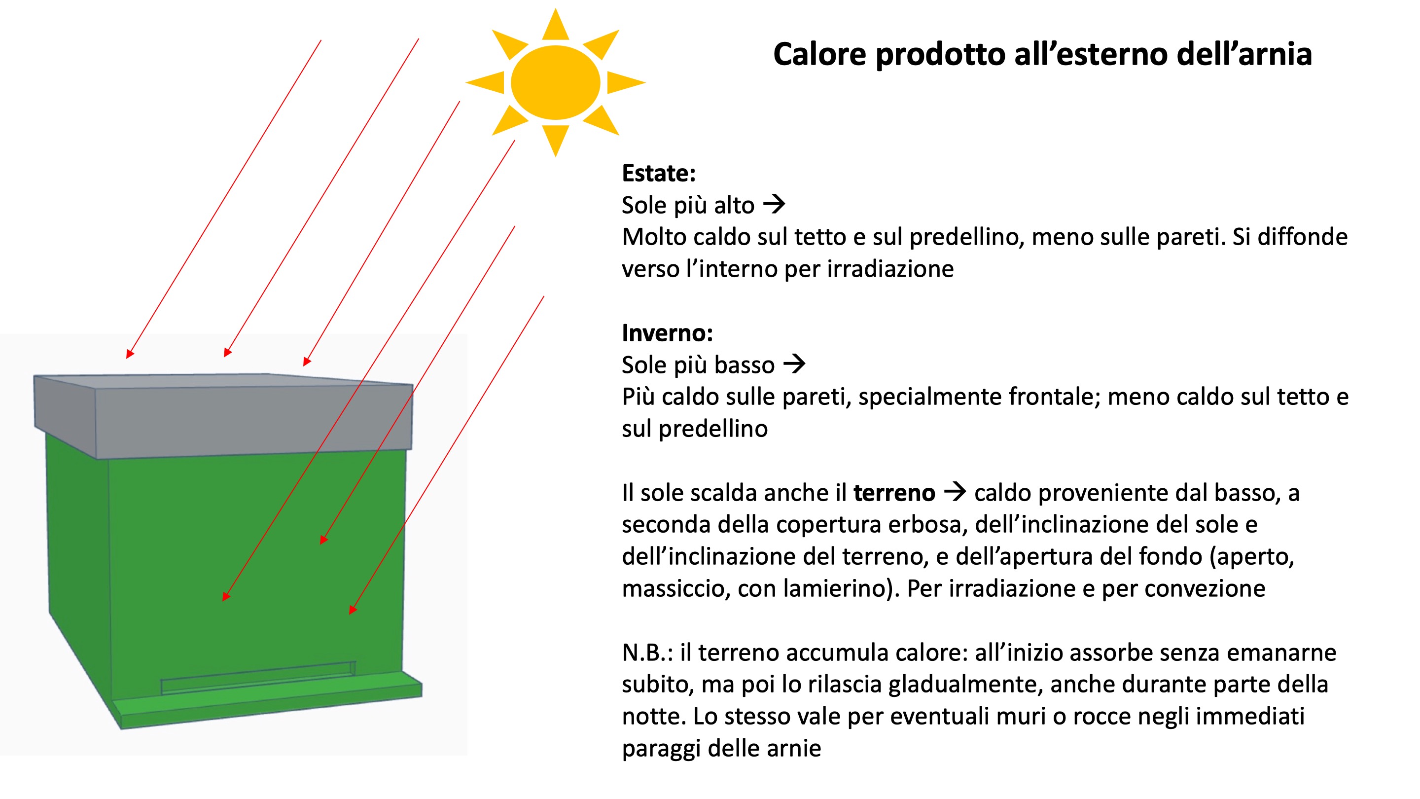 Diapositiva8