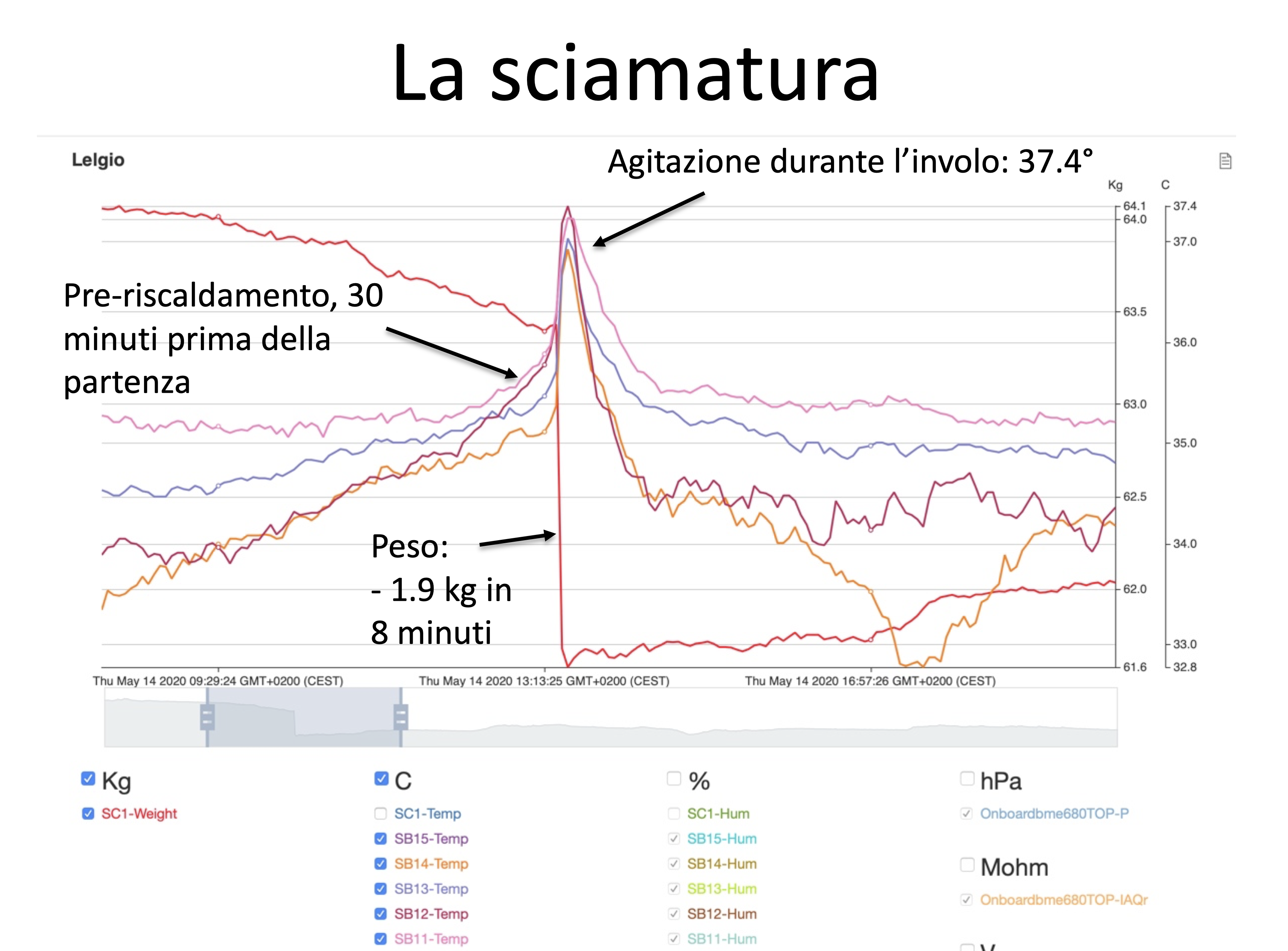 sciamatura2